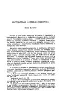 Ontologija Andrije Dorotića