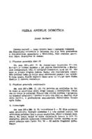prikaz prve stranice dokumenta Fizika Andrije Dorotića